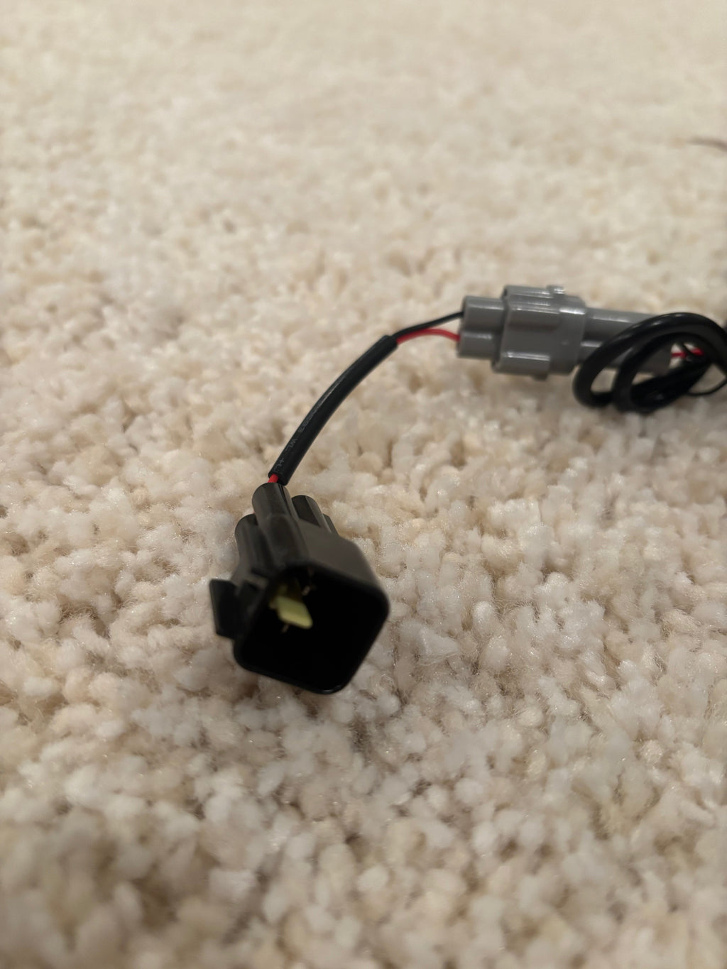 Surron Baja (PLUG N PLAY)